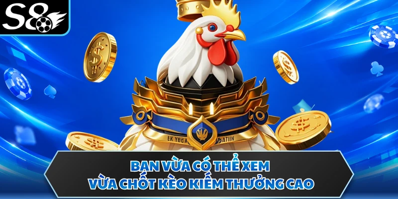 Đá Gà Trực Tuyến - Sân Chơi Đấu Kê Giải Trí Uy Tín S8 3 Bạn vừa có thể xem vừa chốt kèo kiếm thưởng cao