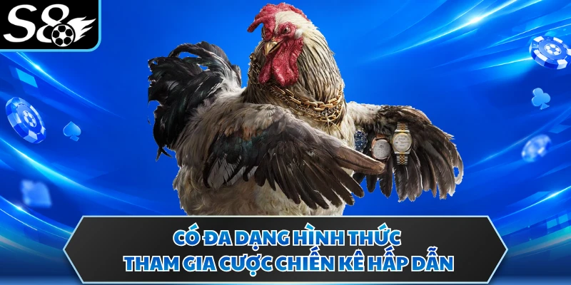 Có đa dạng hình thức tham gia cược chiến kê hấp dẫn
