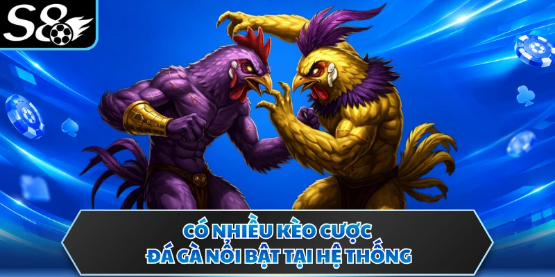 Có nhiều kèo cược đá gà nổi bật tại hệ thống