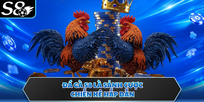Đá gà S8 là sảnh cược chiến kê hấp dẫn