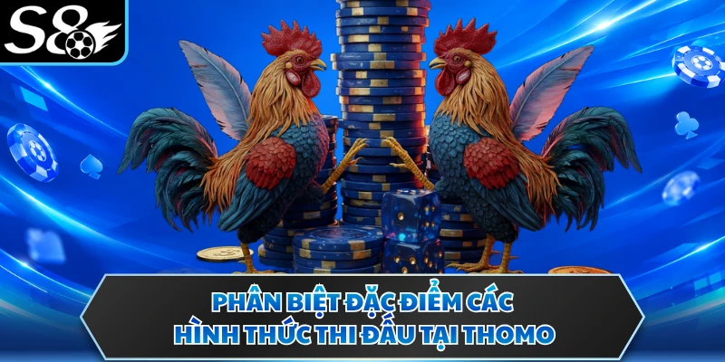 Phân biệt đặc điểm các hình thức thi đấu tại Thomo