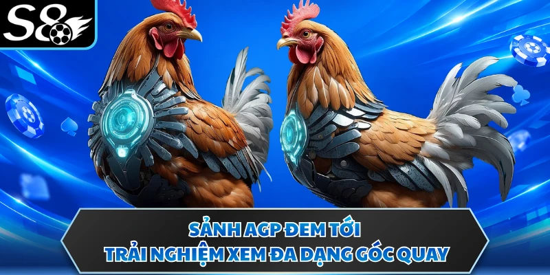 Đá Gà Trực Tuyến - Sân Chơi Đấu Kê Giải Trí Uy Tín S8 4 Sảnh AGP đem tới trải nghiệm xem đa dạng góc quay