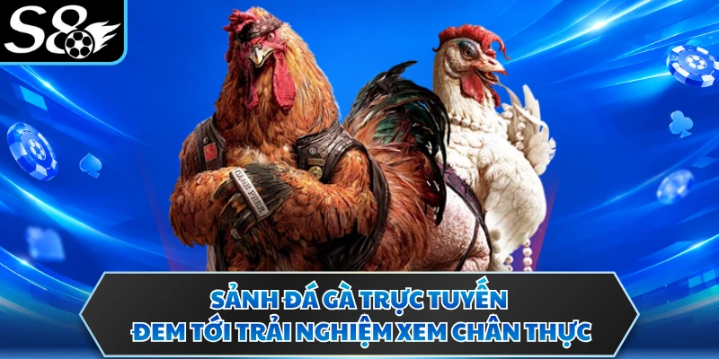 Đá Gà Trực Tuyến - Sân Chơi Đấu Kê Giải Trí Uy Tín S8 2 Sảnh đá gà trực tuyến đem tới trải nghiệm xem chân thực